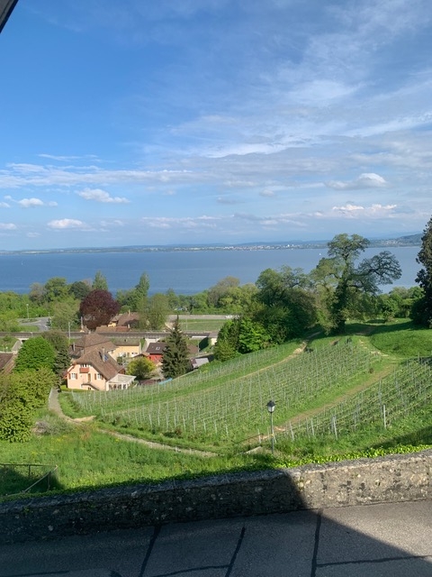 Magnifique bureau commercial dans Le Château Vaumarcus / Vue sur lac
