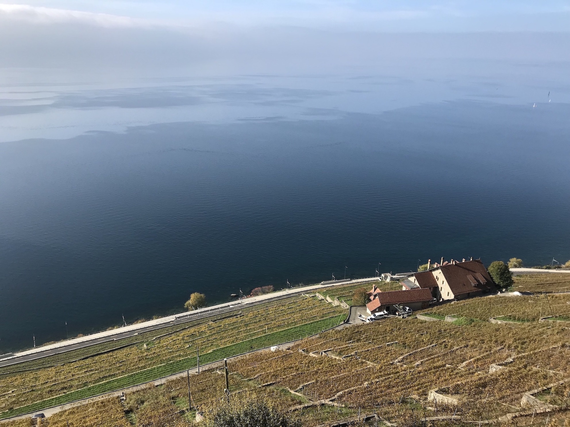 Magnifique 3.5 pièces avec vue sur le lac et les Alpes